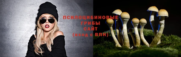 метамфетамин Богданович