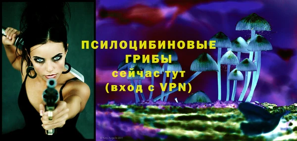 mdpv Богородск