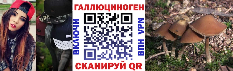 Псилоцибиновые грибы GOLDEN TEACHER blacksprut зеркало Наро-Фоминск